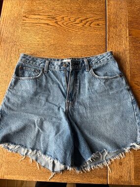 Abercrombie & Fitch Curve Love Shorts 29